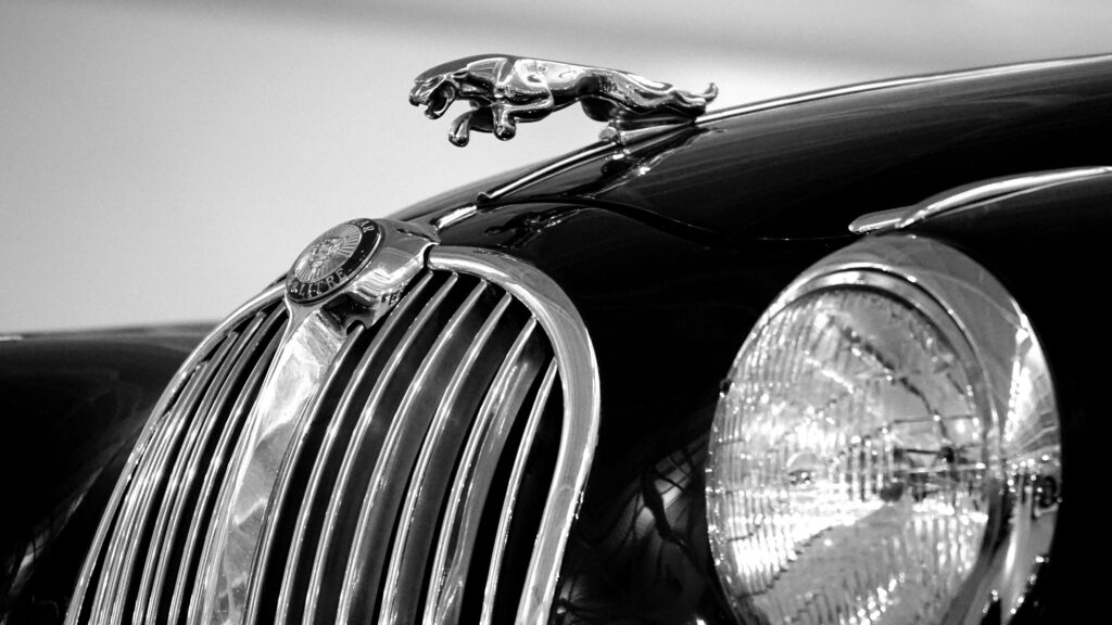 Close-up of a classic Jaguar hood ornament and grille in a monochrome style.